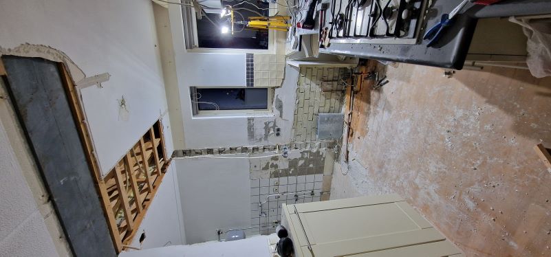 Kitchen During Renovation Picture 1